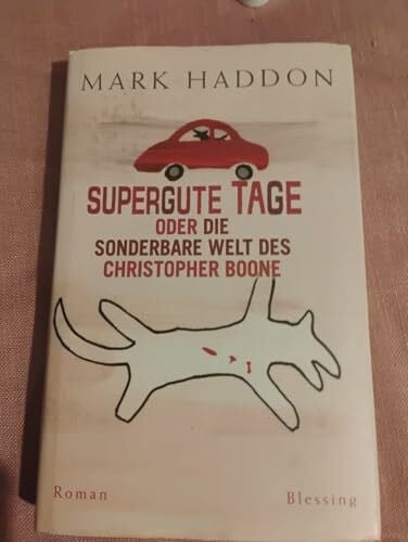 Hübner, Sabine Supergute Tage oder Die sonderbare Welt des Christopher Boone