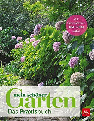 Mein schöner Garten Mein schöner Garten: Das Praxisbuch (BLV Gartenpraxis)