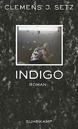 Setz, Clemens J. Indigo: Roman