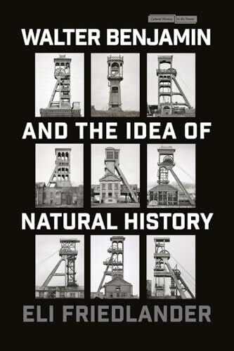Friedlander, Eli Walter Benjamin and the Idea of Natural History (Cultural Memory in the Present)