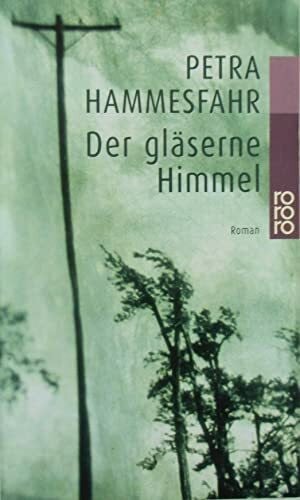 Hammesfahr, Petra Der gläserne Himmel (rororo / Rowohlts Rotations Romane)