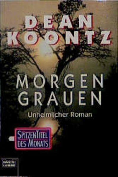 Koontz, Dean Morgengrauen: Unheimlicher Roman (Allgemeine Reihe. Bastei Lübbe Taschenbücher)