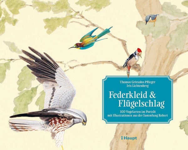 Bernadette Walter Federkleid & Flügelschlag: 100 Vogelarten im Porträt - mit Illustrationen aus der Sammlung Robert