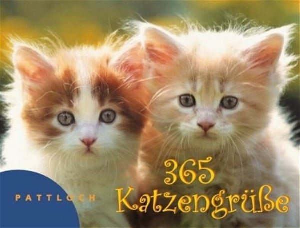Drews, Gerald 365 Katzengrüße