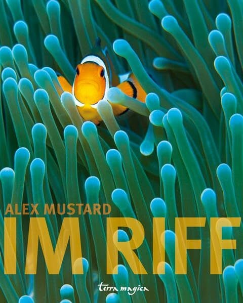 Mustard, Alex Im Riff (terra magica Faszination)