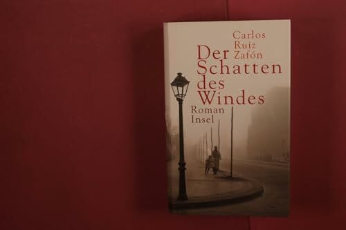 Peter Schwaar Der Schatten des Windes: Roman