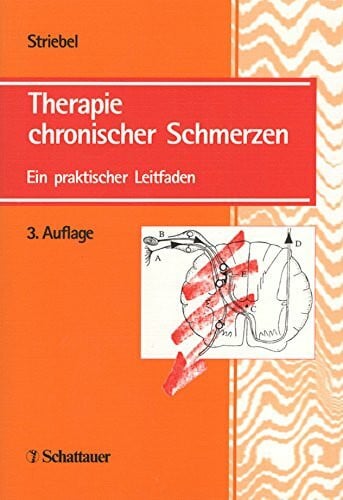 Meissner, Winfried Therapie chronischer Schmerzen: Ein praktischer Leitfaden