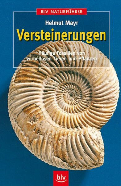 Mayr, Helmut Versteinerungen: Häufige Fossilien von wirbellosen Tieren und Pflanzen (BLV Naturführer)