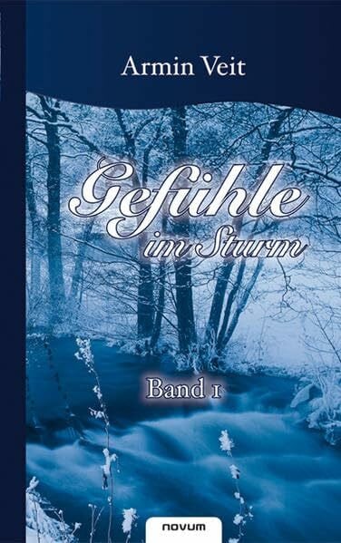 Veit, Armin Gefühle im Sturm - Band 1