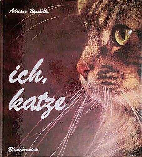 Bacchella, Adriano Ich, Katze