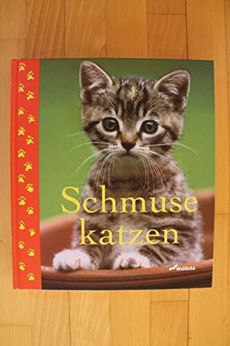Auberger, Monika Schmusekatzen. (Mit fünf farbigen Postkarten)