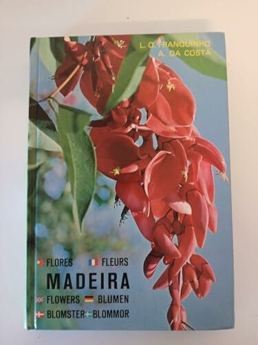 Franquinho, L.O. Madeira
