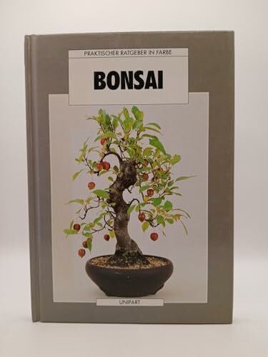 Swinton, Anne Bonsai