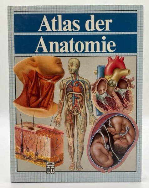Joachim Lauen Atlas der Anatomie