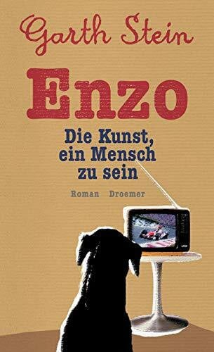 Stein, Garth Enzo. Die Kunst, ein Mensch zu sein: Roman