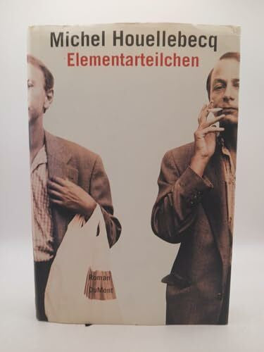Uli Wittmann Elementarteilchen: Roman (DUMONT Literatur)