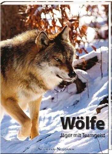 Verlag J. Neumann-Neudamm Wölfe: Jäger mit Teamgeist