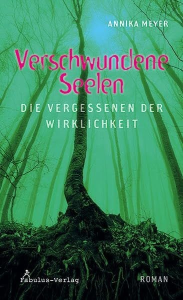 Meyer, Annika Verschwundene Seelen: die Vergessenen der Wirklichkeit