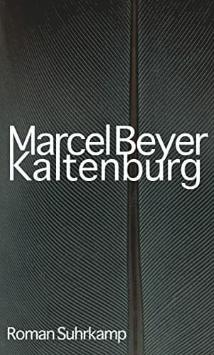Beyer, Marcel Kaltenburg: Roman