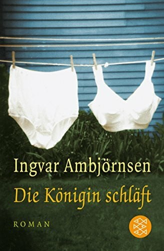 Haefs, Gabriele Die Königin schläft: Roman (Unterhaltung, Band 16202)
