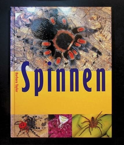 Spinnen