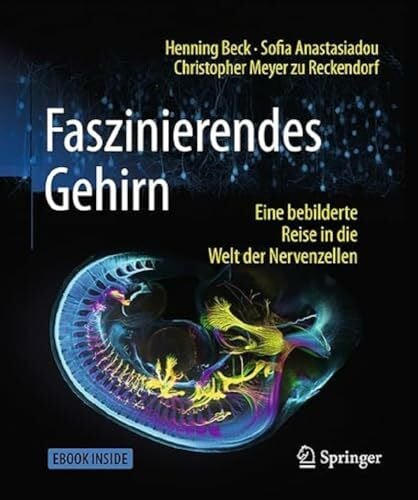 Meyer zu Reckendorf, Christopher Faszinierendes Gehirn: Eine bebilderte Reise in die Welt der Nervenzellen