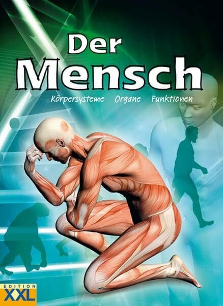 Der Mensch: Körpersysteme, Organe, Funktionen