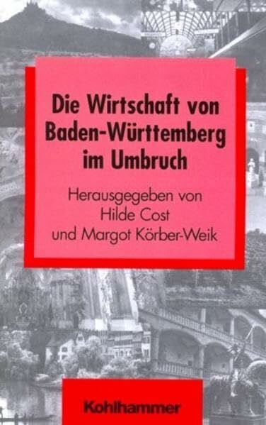 Cost, Hilde Die Wirtschaft von Baden-Württemberg im Umbruch (Schriften zur politischen Landeskunde Baden-Württembergs)