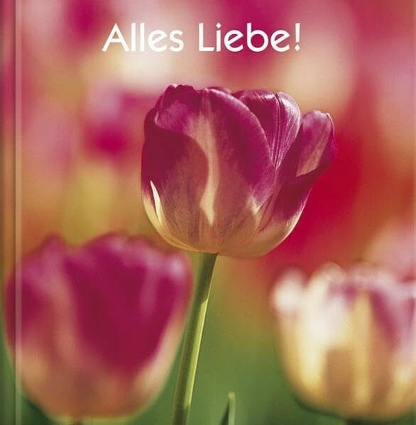 Gleißner, Marion Alles Liebe!: Geschenkbuch