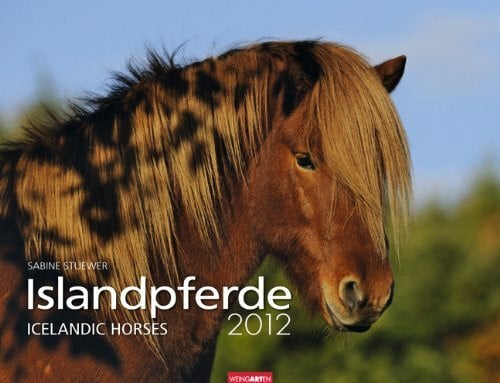 Weingarten Islandpferde 2012