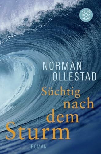 Heinrich, Brigitte Süchtig nach dem Sturm: Roman