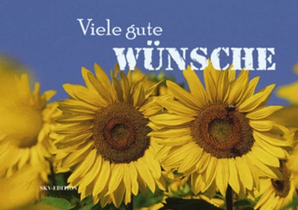 Leonhardt, Roland Viele gute Wünsche (Licht und Freude)