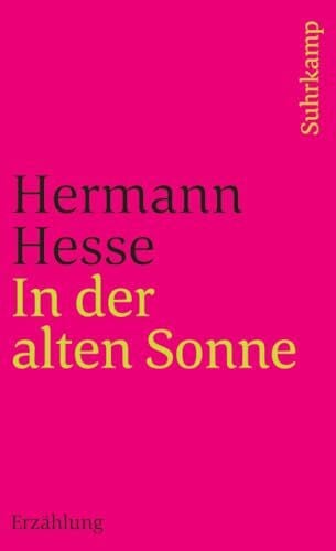 Michels, Volker In der alten Sonne: Erzählung (suhrkamp taschenbuch)