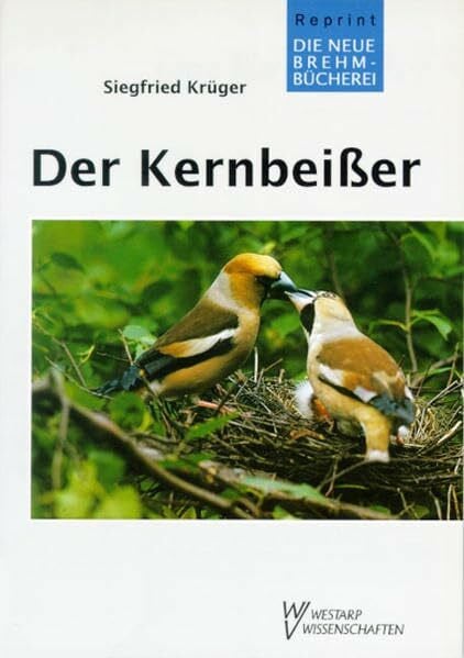 Krüger KERNBEIßER COCCOTHRAUSTES COCCOTHRAUSTE: Coccothraustes coccothraustes