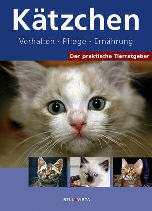 Kätzchen: Verhalten, Pflege, Ernährung