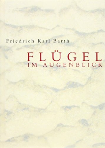 Barth, Karl F Flügel im Augenblick