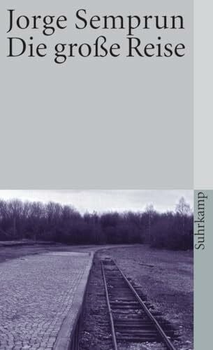 Christaller, Abelle Die große Reise: Roman (suhrkamp taschenbuch)