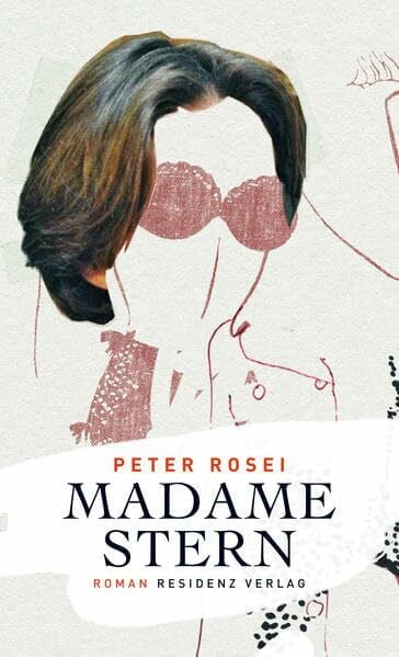 Peter Rosei Madame Stern: Roman