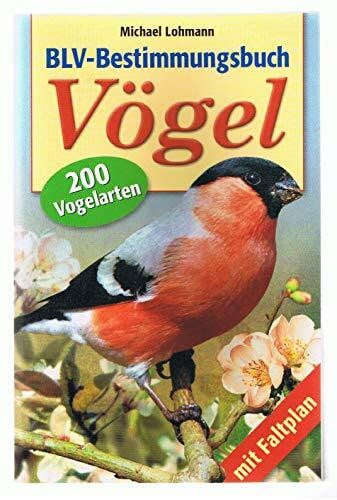 Michael Lohmann BLV-Bestimmungsbuch Vögel