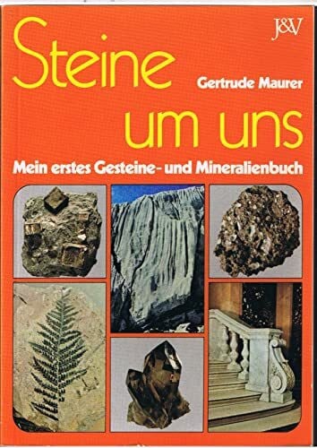 Thaler, Heiner Steine um uns: Mein erstes Gesteine- und Mineralienbuch