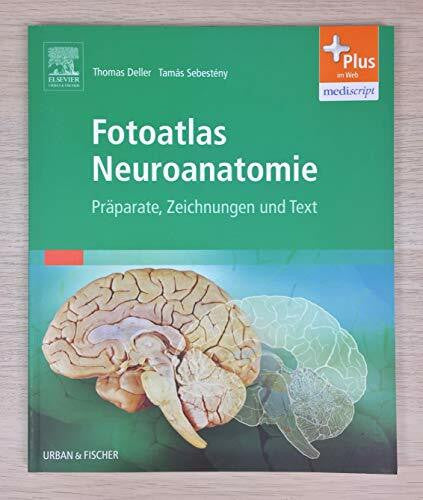 Deller, Thomas Fotoatlas Neuroanatomie: Präparate, Zeichnungen und Text - mit Zugang zur mediscript Lernwelt: Präparate, Zeichnungen und Text. Plus im Web, mediscript