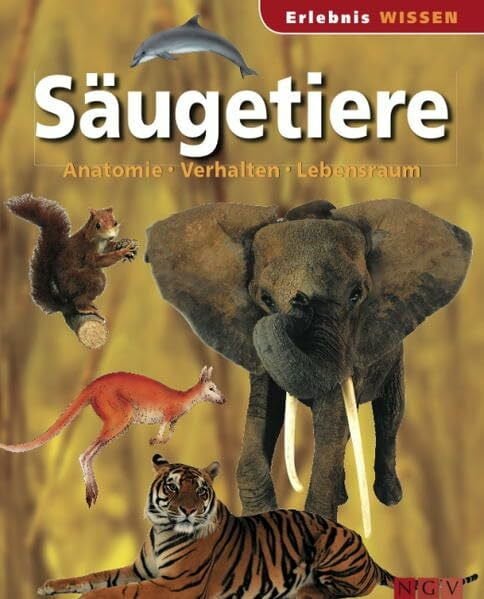 Säugetiere: Anatomie, Verhalten, Lebensraum (Wissen für Kinder)