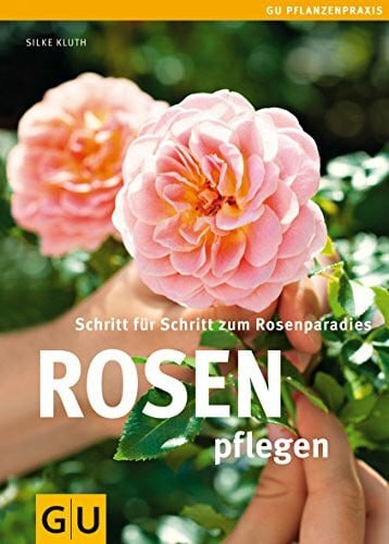 Kluth, Silke Rosen pflegen: Schritt für Schritt zum Rosenparadies (GU Praxisratgeber Garten)