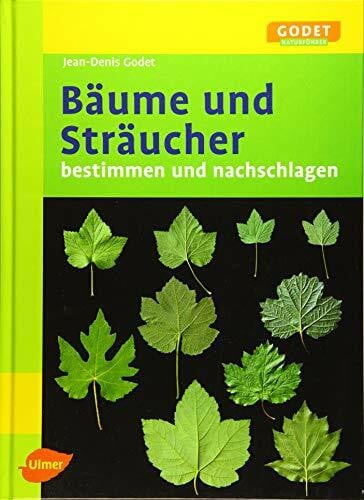 Godet, Jean-Denis Bäume und Sträucher: Bestimmen und Nachschlagen (GODET Naturführer)