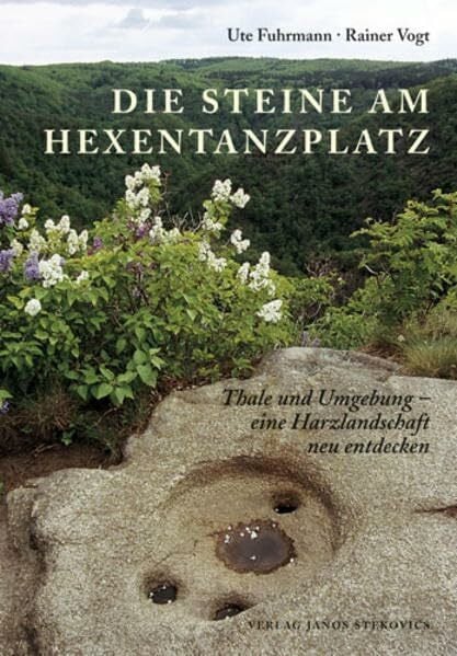 Vogt, Rainer Die Steine am Hexentanzplatz: Thale und Umgebung - eine Harzlandschaft neu entdecken (Stadtgeschichten)