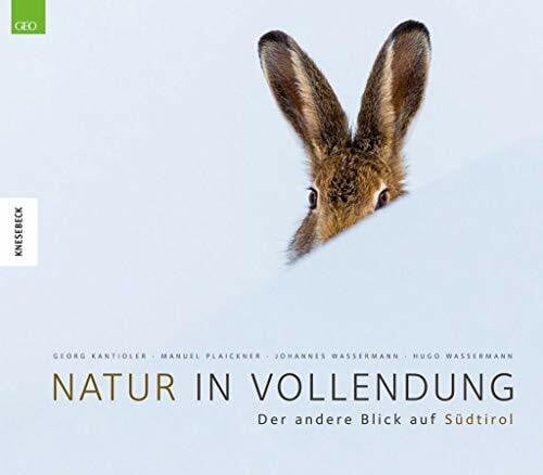 Plaickner, Manuel Natur in Vollendung: Der andere Blick auf Südtirol