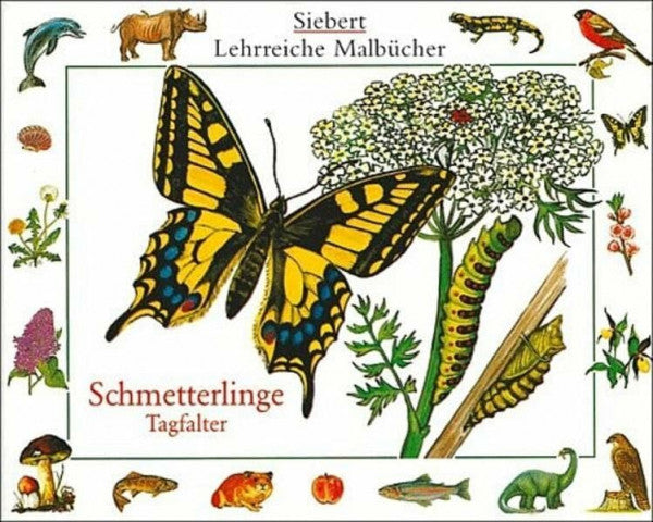 Etschmann, Ina Malbuch: Schmetterlinge - Tagfalter