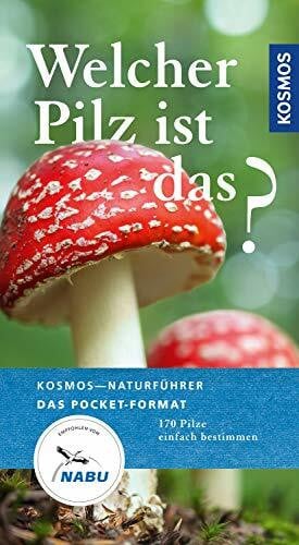 Flück, Markus Welcher Pilz ist das?: 170 Pilze einfach bestimmen (Kosmos-Naturführer Basics)
