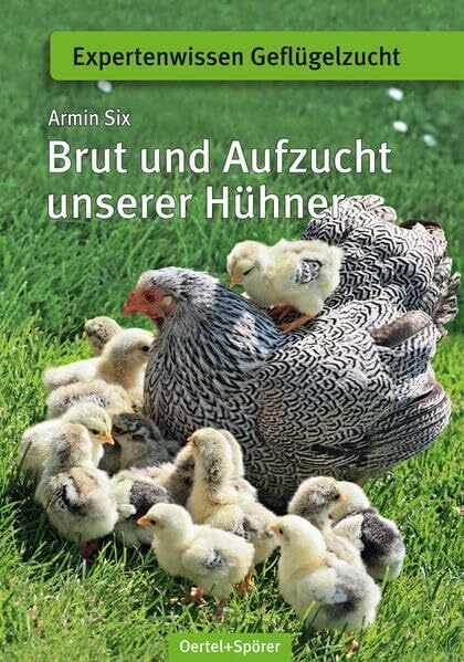 Armin Six Brut und Aufzucht unserer Hühner (Expertenwissen Geflügelzucht)