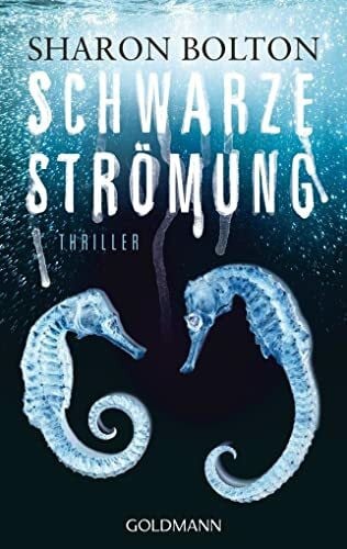 Bezzenberger, Marie-Luise Schwarze Strömung - Lacey Flint 4: Thriller